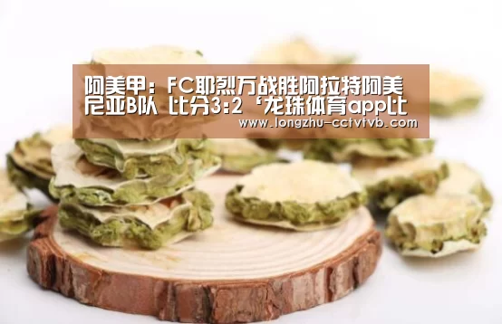 阿美甲: FC耶烈万战胜阿拉特阿美尼亚B
