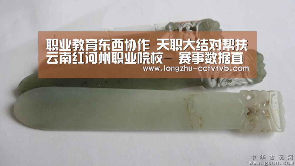 龙珠体育app比分直播