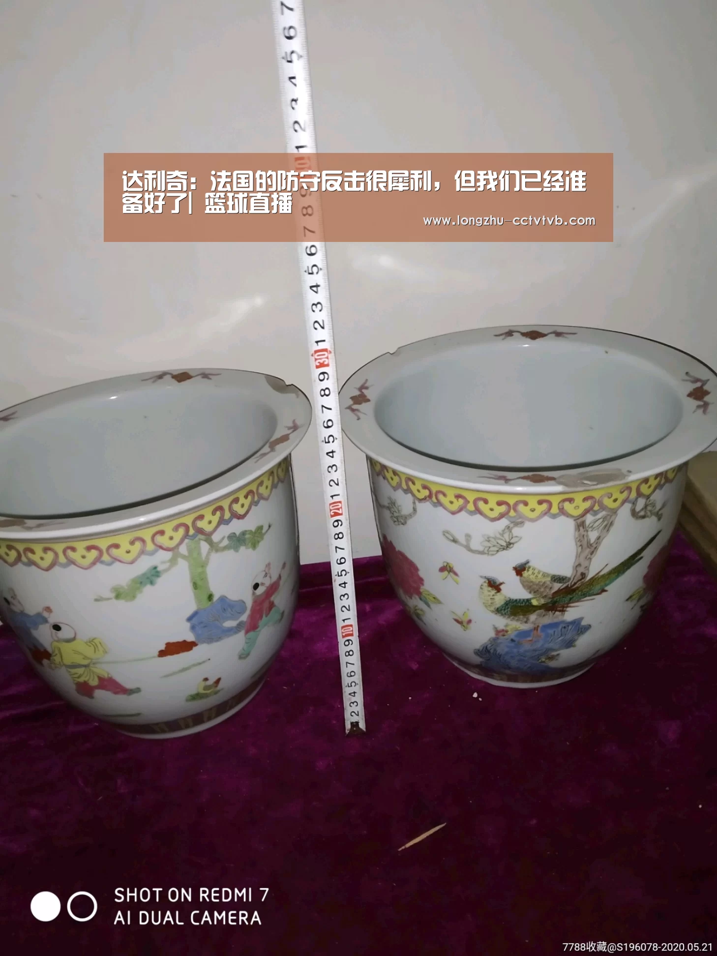 龙珠体育app比分直播