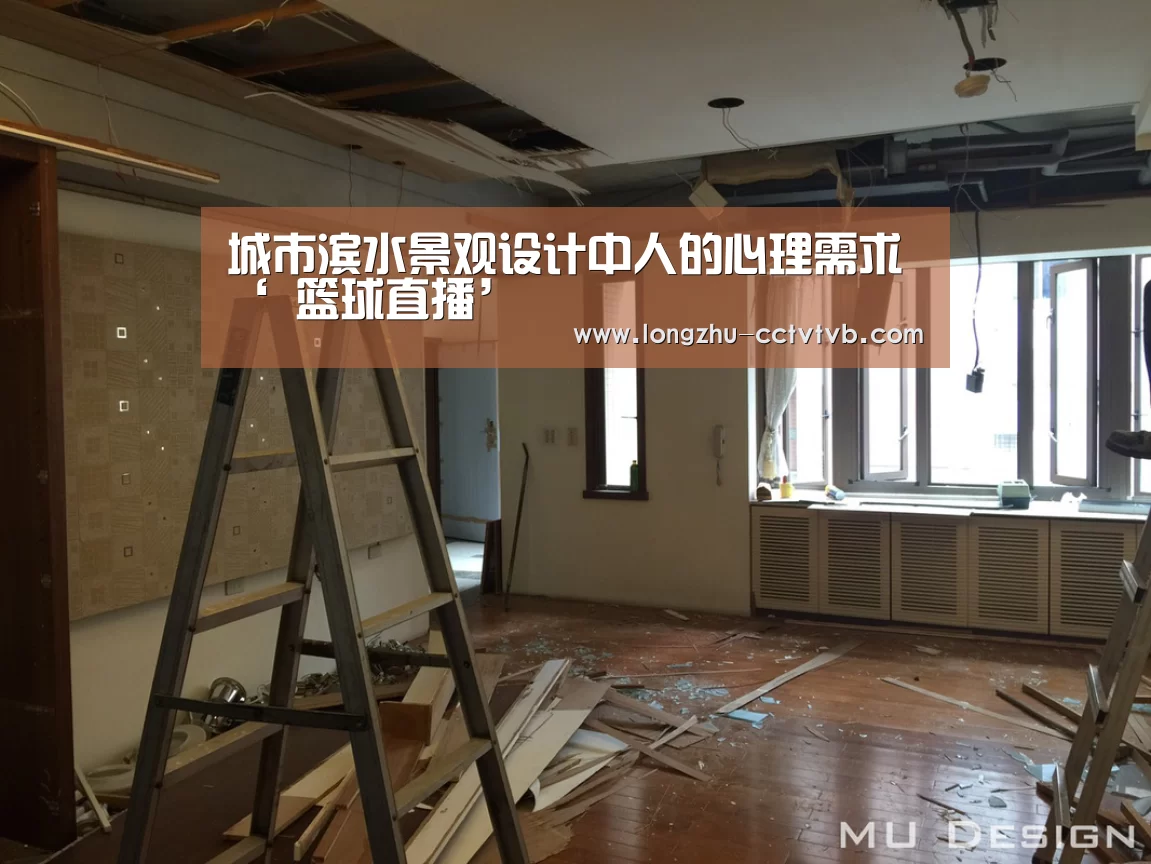 城市滨水景观设计中人的心理需求‘ 篮球直播’(图1) 足球直播