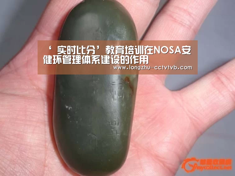  实时比分