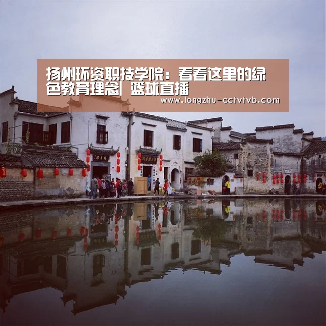 龙珠体育app比分直播