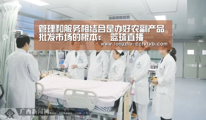  篮球直播