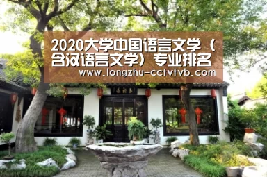  赛事数据直播