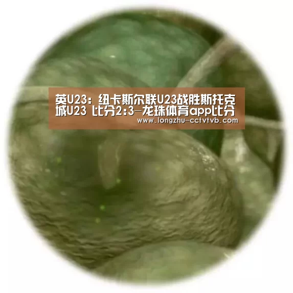  赛事数据直播