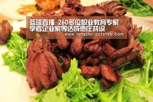 篮球直播_260多位职业教育专家学者企业家等达成枣庄共识(图2) 篮球直播
