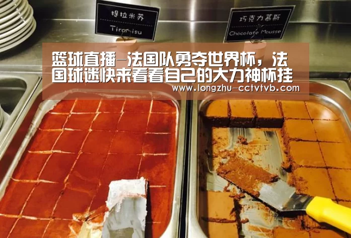  篮球直播